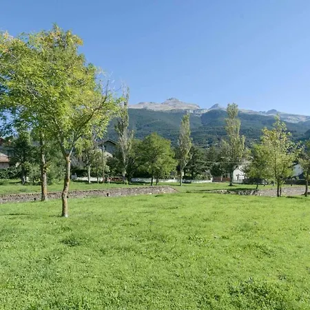 Selva Blanca De *